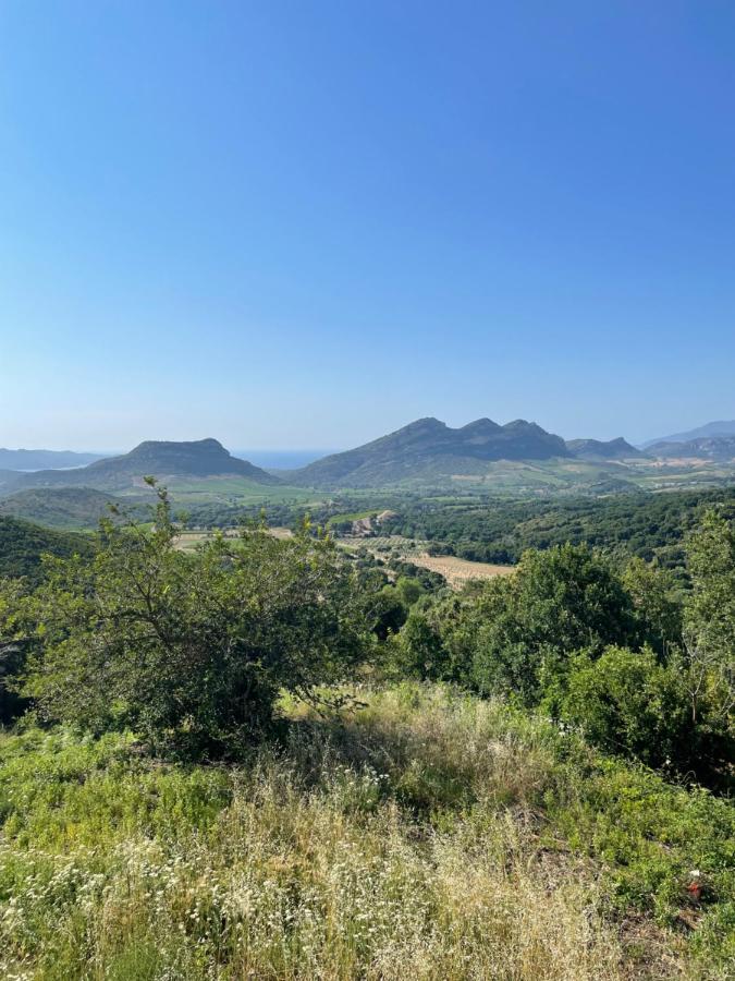 Casa Di Cajucan Poggio-d'Oletta エクステリア 写真