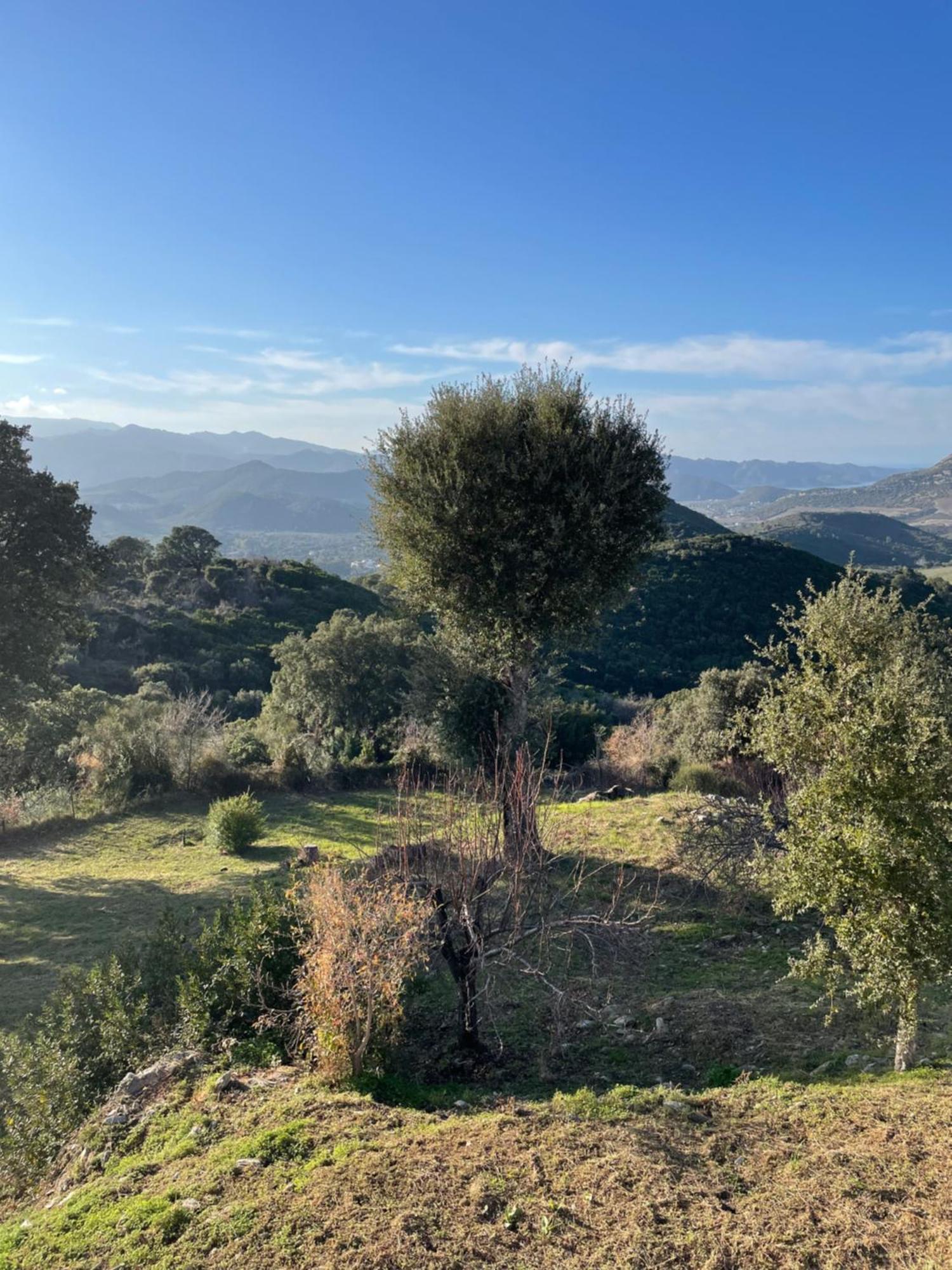 Casa Di Cajucan Poggio-d'Oletta エクステリア 写真