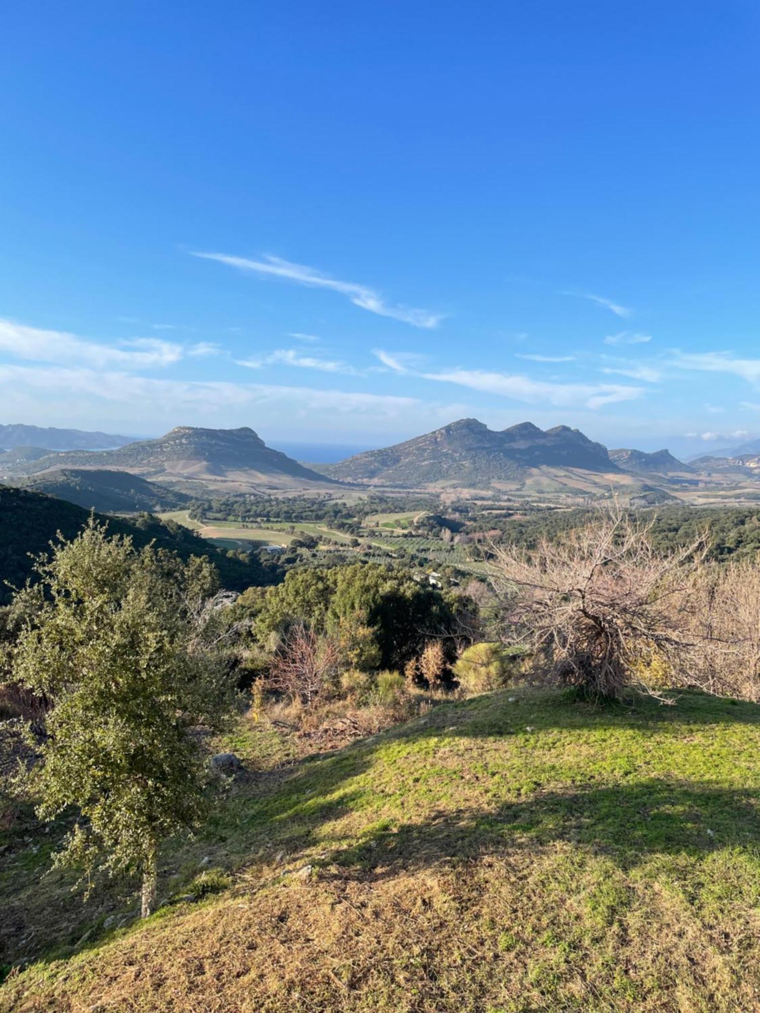 Casa Di Cajucan Poggio-d'Oletta エクステリア 写真